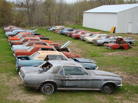 Mustang junk yard. Things To Know About Mustang junk yard. 